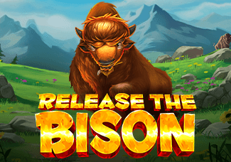 Release the Bison game icon