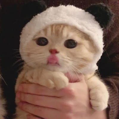 Elicura Chihuailaf avatar